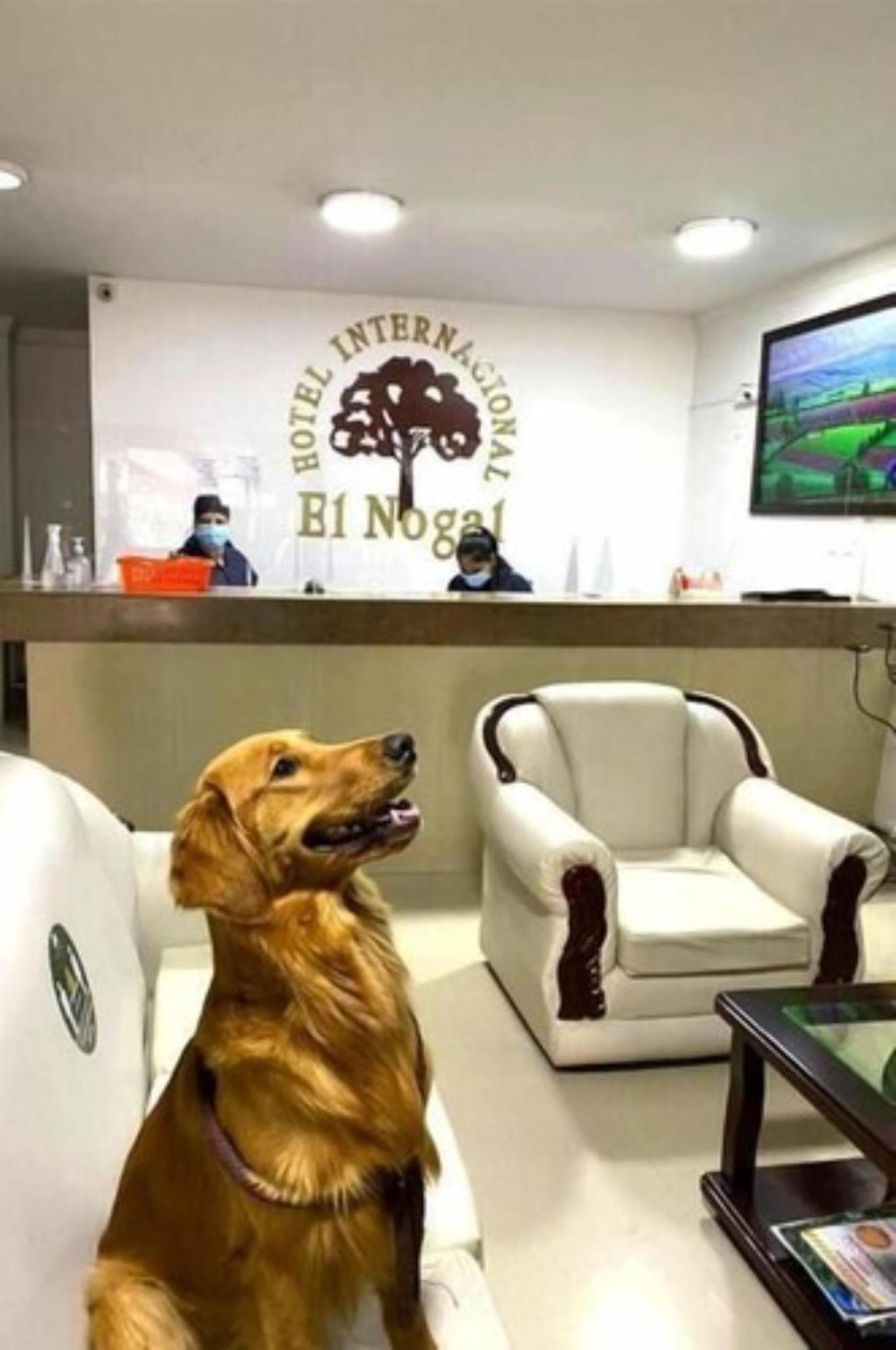 Internacional El Nogal Ipiales Hotel Bagian luar foto
